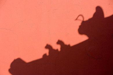 Gearbox CEO邀请玩家免费体验小缇娜被质疑阴阳怪气